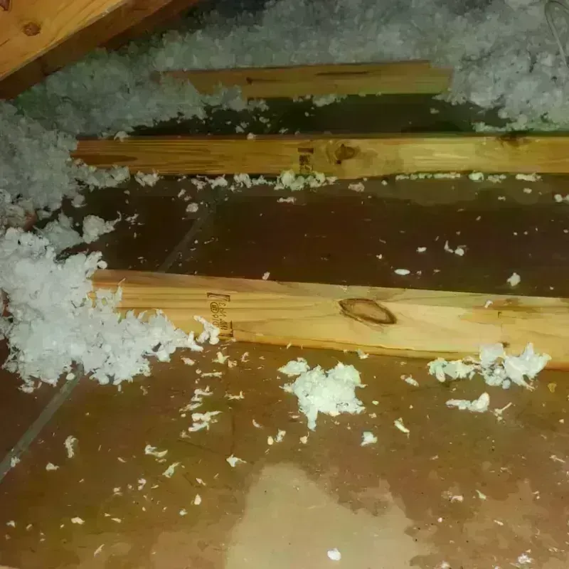 Attic Water Damage in Flowing Wells, AZ