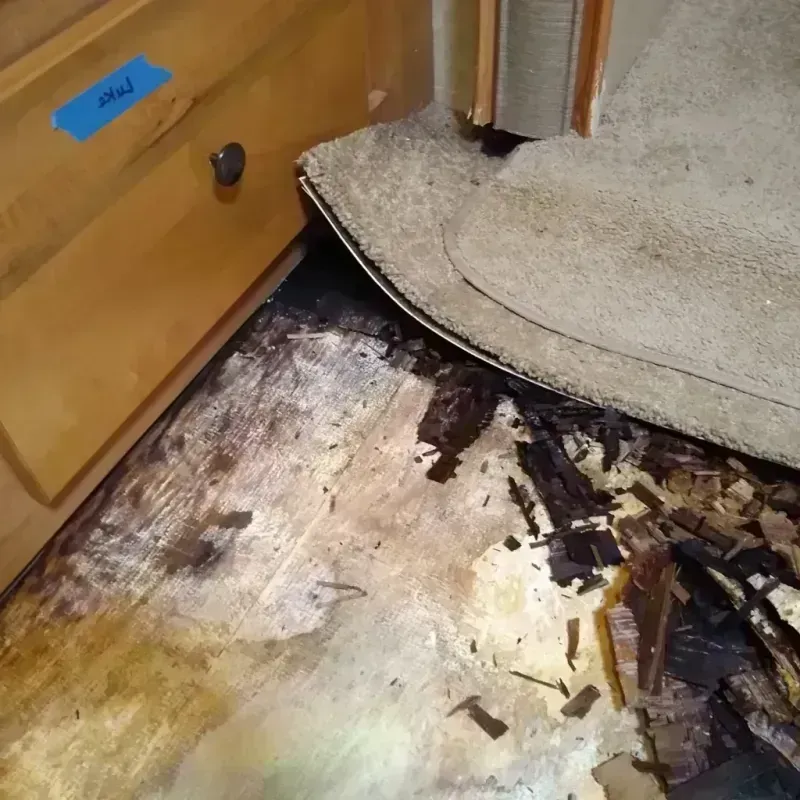 Wood Floor Water Damage in Flowing Wells, AZ